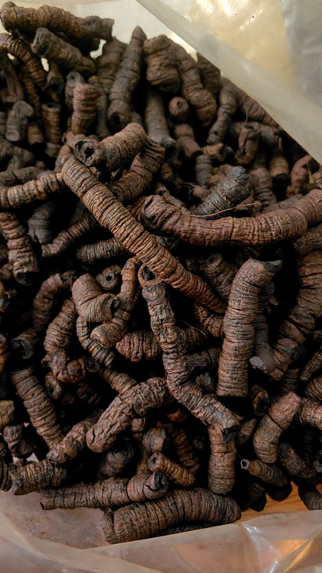 大瑶山里的珍稀巴戟天 紫肉去骨，天然农产品与水产加工的完美结合