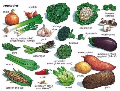 Aisle of Delights: The English Names of Vegetables in 'A Better Dream Era'