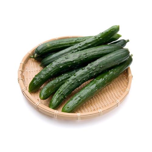 有机应季蔬菜随机配套餐 重新定义“蔬菜”的食材美学