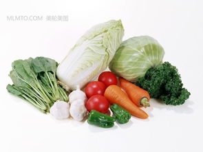 蔬菜 餐桌上的营养宝库